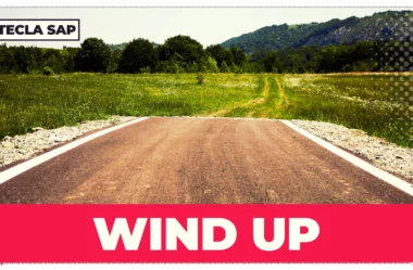 WIND UP? Qual é o significado e a tradução do phrasal verb?