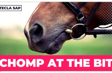 CHOMP AT THE BIT? Qual é o significado e a tradução?