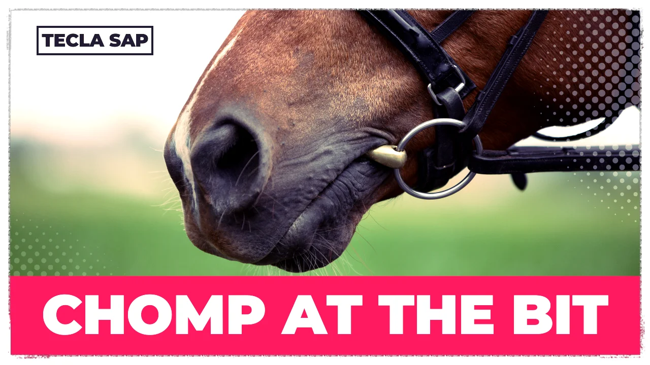 CHOMP AT THE BIT? Qual é o significado e a tradução?