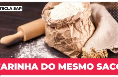 Farinha do mesmo saco em inglês: guia completo para escolher a expressão certa