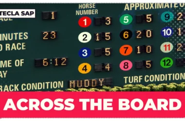 ACROSS THE BOARD? O que significa? Qual é a tradução?