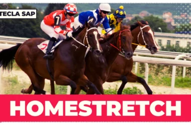 HOMESTRETCH? O que “IN THE HOMESTRETCH” significa?