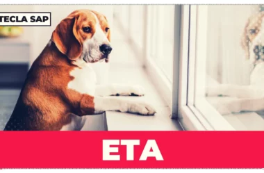 Qual é o significado e a tradução da abreviação “ETA”?