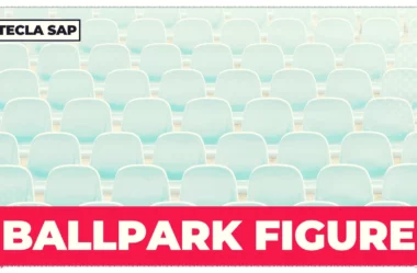 BALLPARK FIGURE? Como traduzir essa expressão do beisebol?