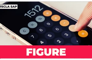FIGURE? Qual é o significado e a tradução da palavra?