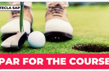 PAR FOR THE COURSE? Qual é o significado e a tradução?
