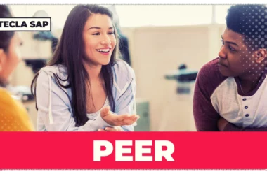 PEER? Qual é o significado e a tradução da palavra “PEER”?