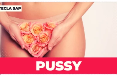 Você sabe o que PUSSY significa em inglês? Descubra agora!