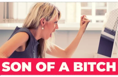 SON OF A BITCH: guia completo para brasileiros
