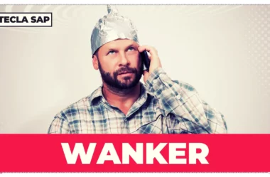 Qual é o significado e a tradução da gíria “WANKER”?