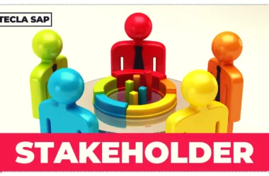 STAKEHOLDER? Qual é o significado e a tradução?