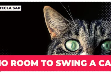 NO ROOM TO SWING A CAT? O que significa a expressão?