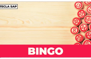 BINGO? Qual é o significado e a tradução desse anglicismo?