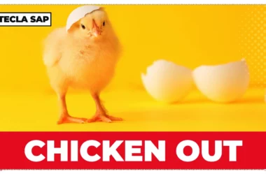 Aprenda agora o que CHICKEN OUT quer dizer em inglês