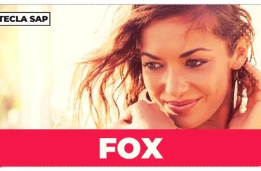 FOX? Qual é o significado e a tradução da gíria “FOX”?