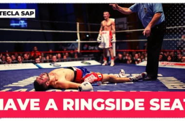 HAVE A RINGSIDE SEAT? Qual é o significado da expressão?