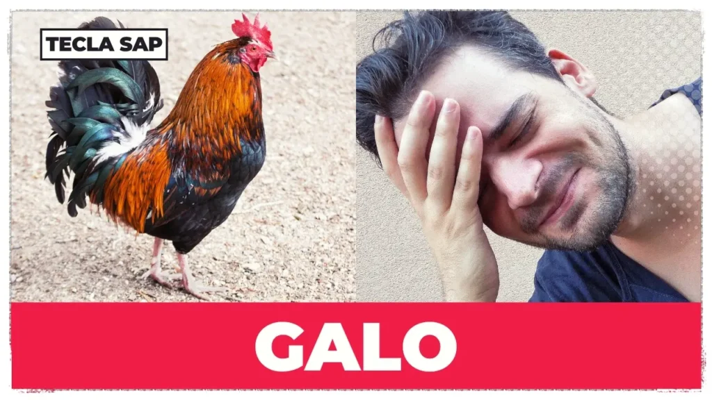 GALO