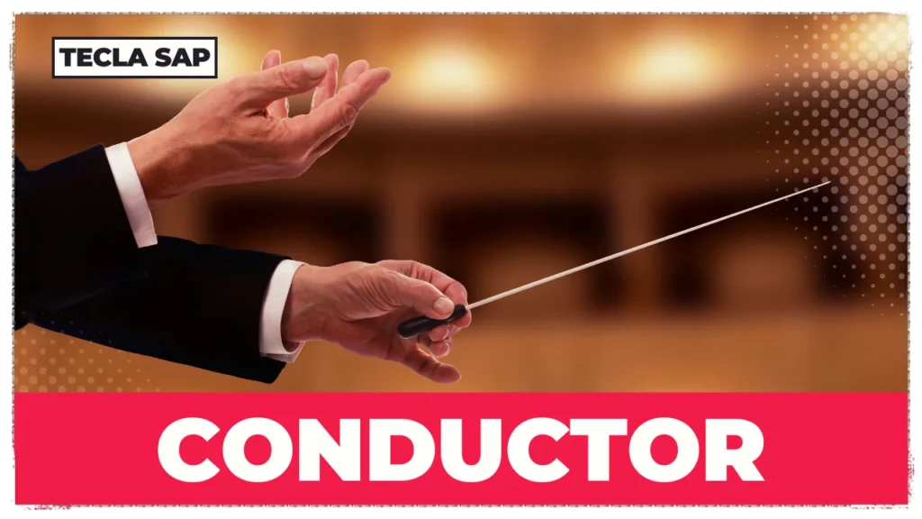 CONDUCTOR SIGNIFICADO
