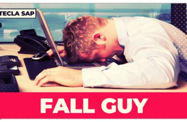 FALL GUY? Qual é o significado e a tradução de “FALL GUY”?
