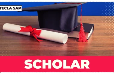 SCHOLAR? Qual é o significado e a tradução da palavra?