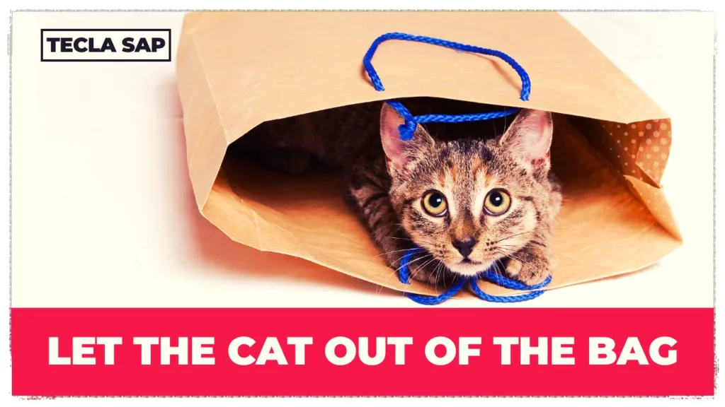 LET THE CAT OUT OF THE BAG