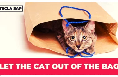 O que “LET THE CAT OUT OF THE BAG” significa?