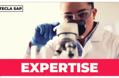 EXPERTISE? Qual é o significado e a tradução da palavra?