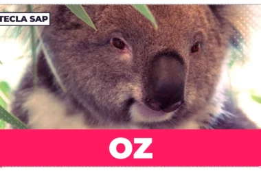 OZ? Qual é o significado dessa gíria britânica?