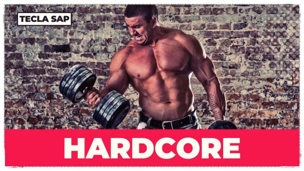 SIGNIFICADO DE HARDCORE