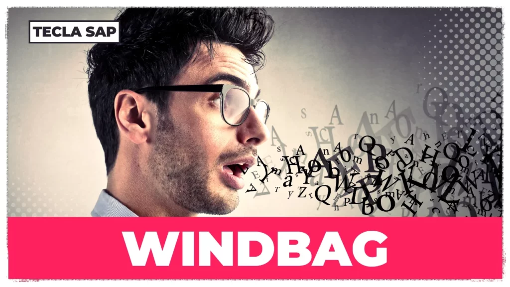 SIGNIFICADO DE WINDBAG