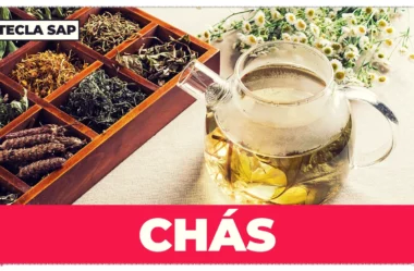 Os nomes dos principais chás em inglês (com tradução)