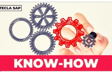 KNOW-HOW? Qual é o significado e a tradução desse anglicismo?