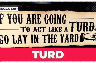 TURD? Qual é o significado e a tradução dessa gíria?