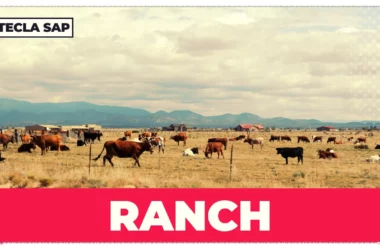 RANCH? Qual é o significado e a tradução desse falso cognato?