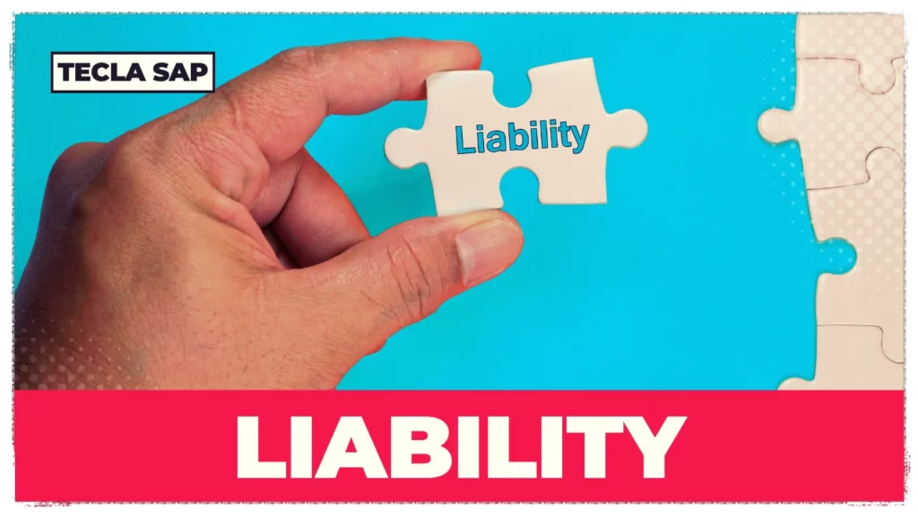 SIGNIFICADO DE LIABILITY