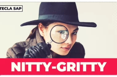 NITTY-GRITTY? Qual é o significado e a tradução da expressão?
