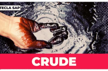CRUDE? Qual é o significado e a  tradução da palavra?