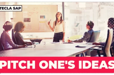 PITCH ONE’S IDEAS? O que significa a expressão?