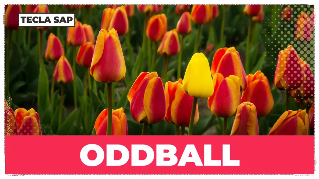 SIGNIFICADO DE ODDBALL