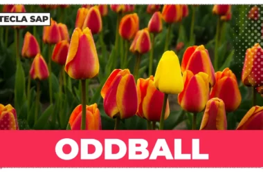 ODDBALL: qual é o significado e a tradução dessa gíria?
