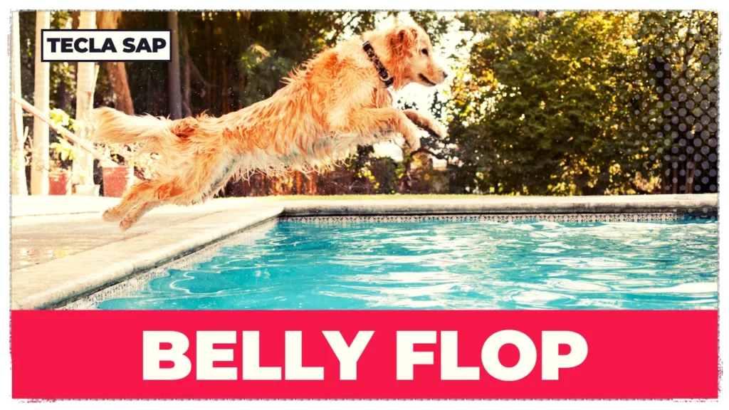 BELLY FLOP