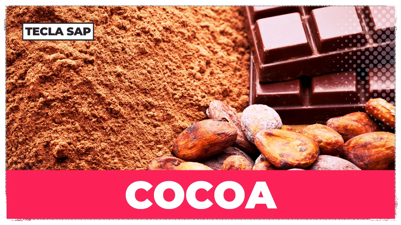 COCOA? Qual é o significado e a tradução de "COCOA"?