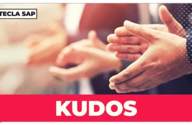 KUDOS? Qual é o significado e a tradução de “KUDOS”?