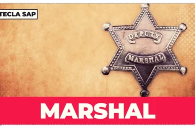 MARSHAL? Qual é o significado e a tradução de “MARSHAL”?
