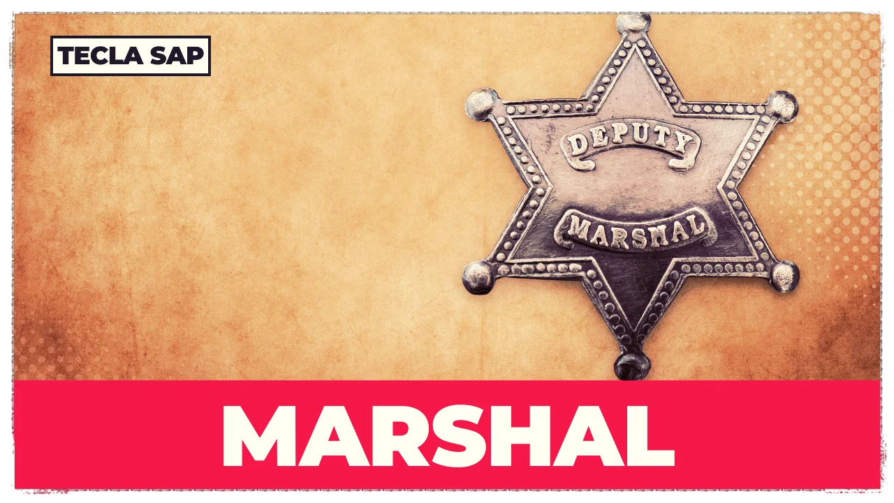 MARSHAL? Qual é o significado e a tradução de MARSHAL?