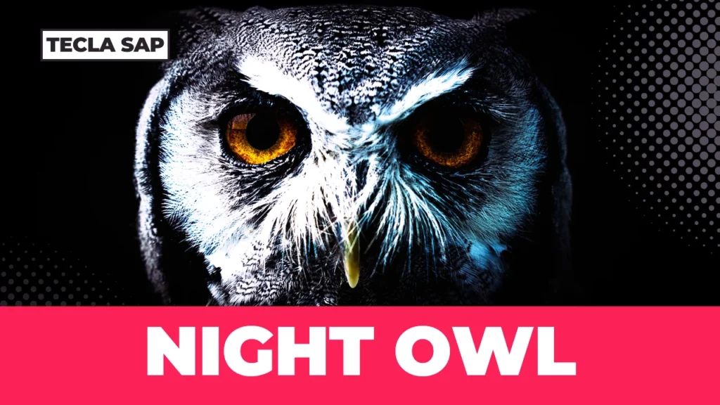 NIGHT OWL