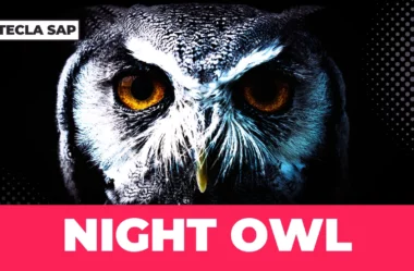 NIGHT OWL? Qual é o significado da gíria “NIGHT OWL”?