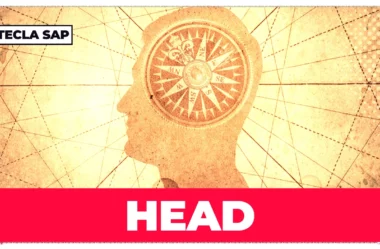 Significado de HEAD: todos os usos e expressões em inglês