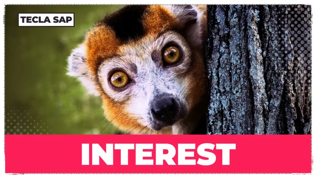 INTEREST
