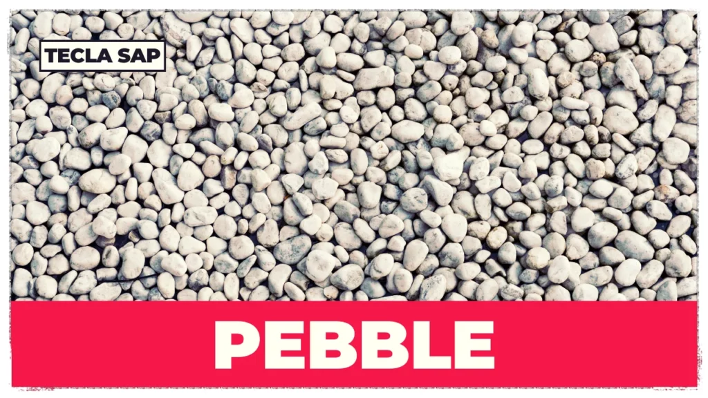 PEBBLE